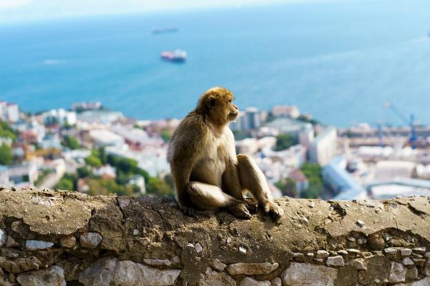 Monday, April 12 – Gibraltar, UK (B, L, D) *Journey to the Top of the Rock