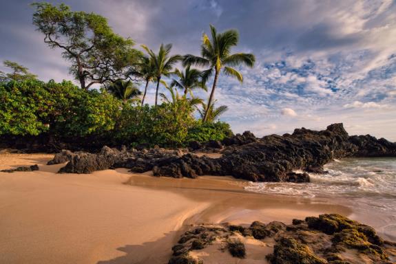 Friday, Nov 6 – Honolulu (B, L, Cocktail Reception, Group D) **Updated