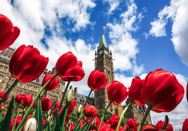 Thursday, M ay 13 – Ottawa (B, Group D)