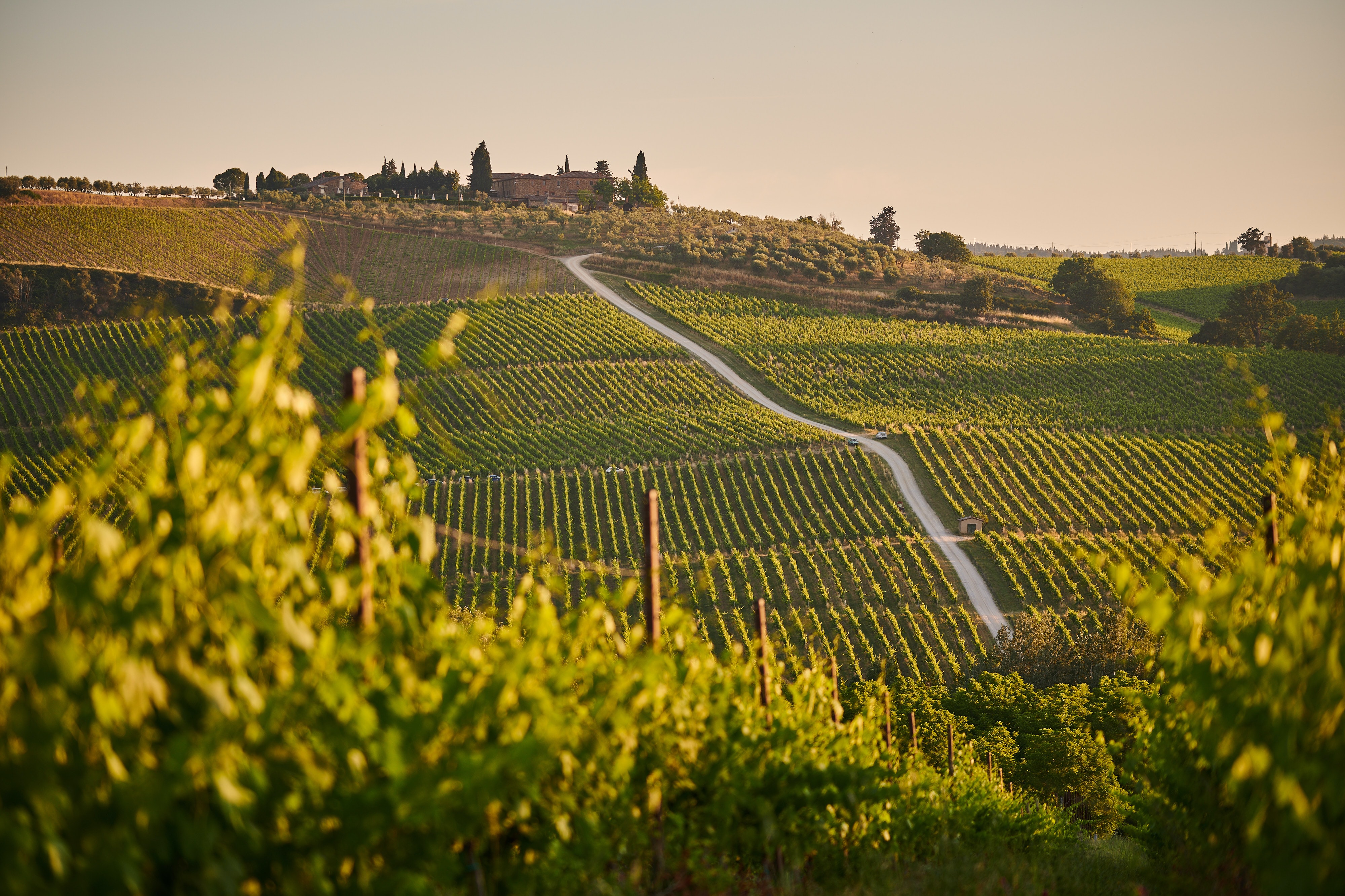 Luxurious Swiss Alps, Venice & Croatia ~ September 25 - October 09, 2027 (15 Days)