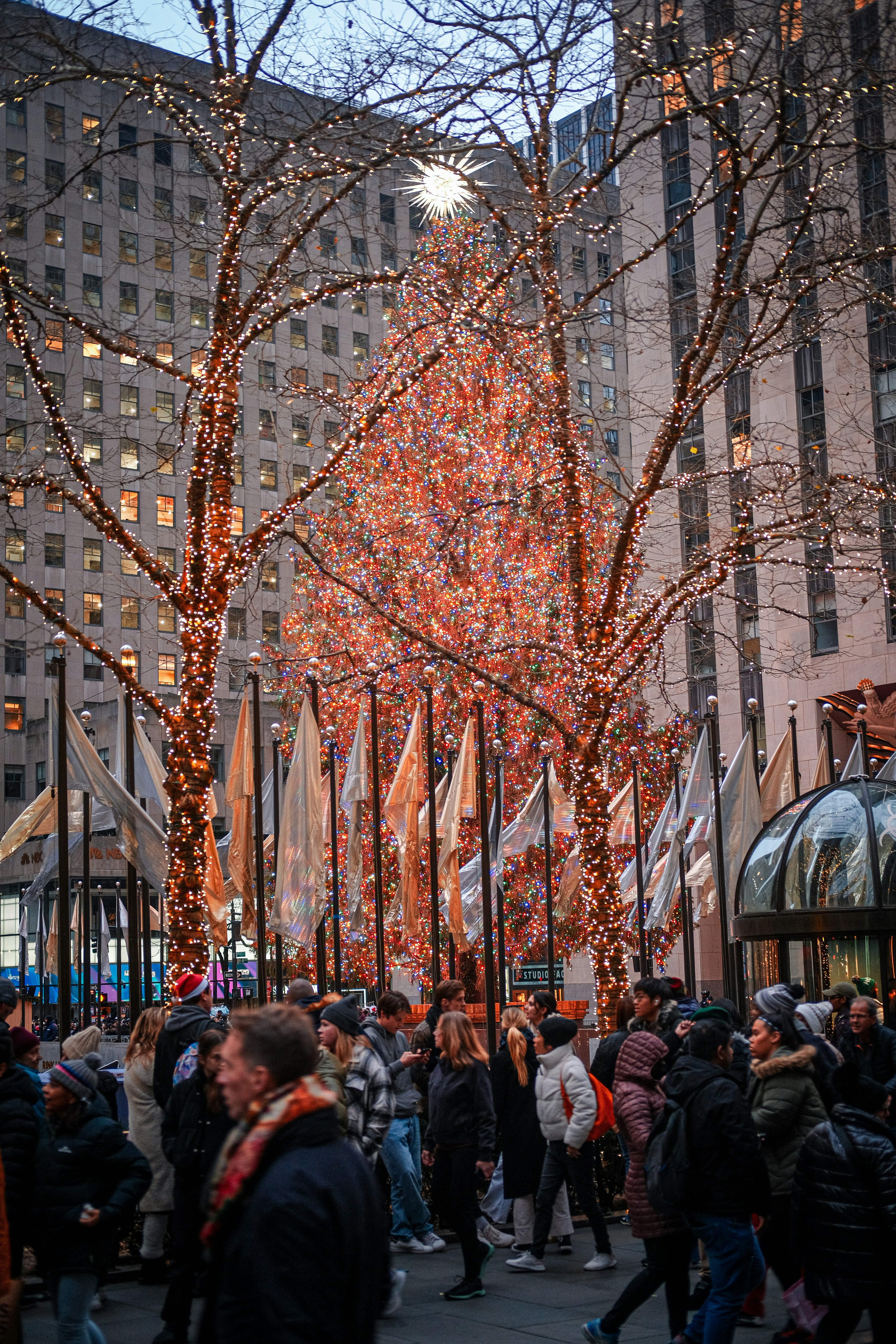 American Thanksgiving in New York ~ November 23 - 28, 2026 (6 Days)