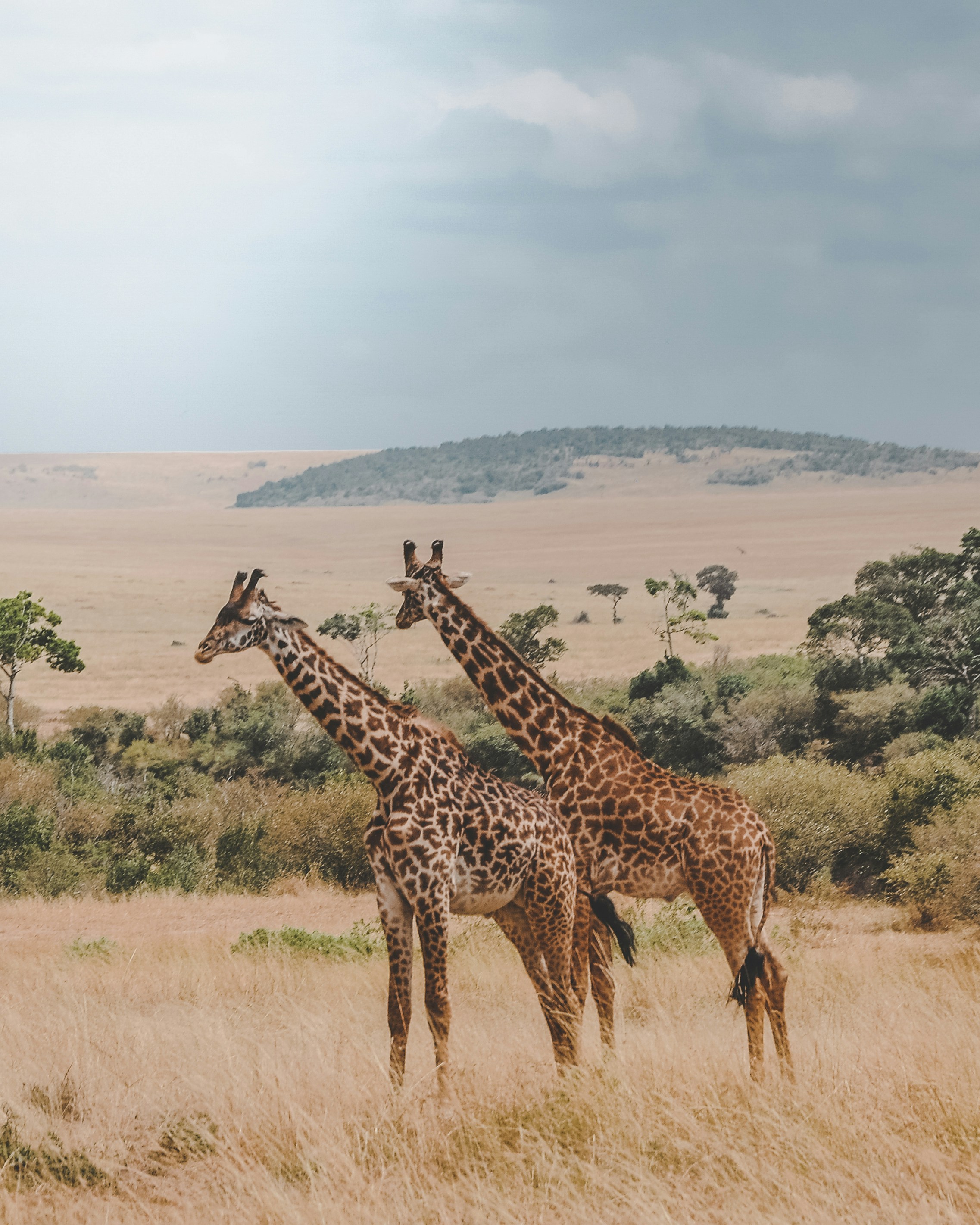 African Safari - Wonders of South Africa and Namibia ~ March 3 - 18, 2027 (16 Days) — photo 3