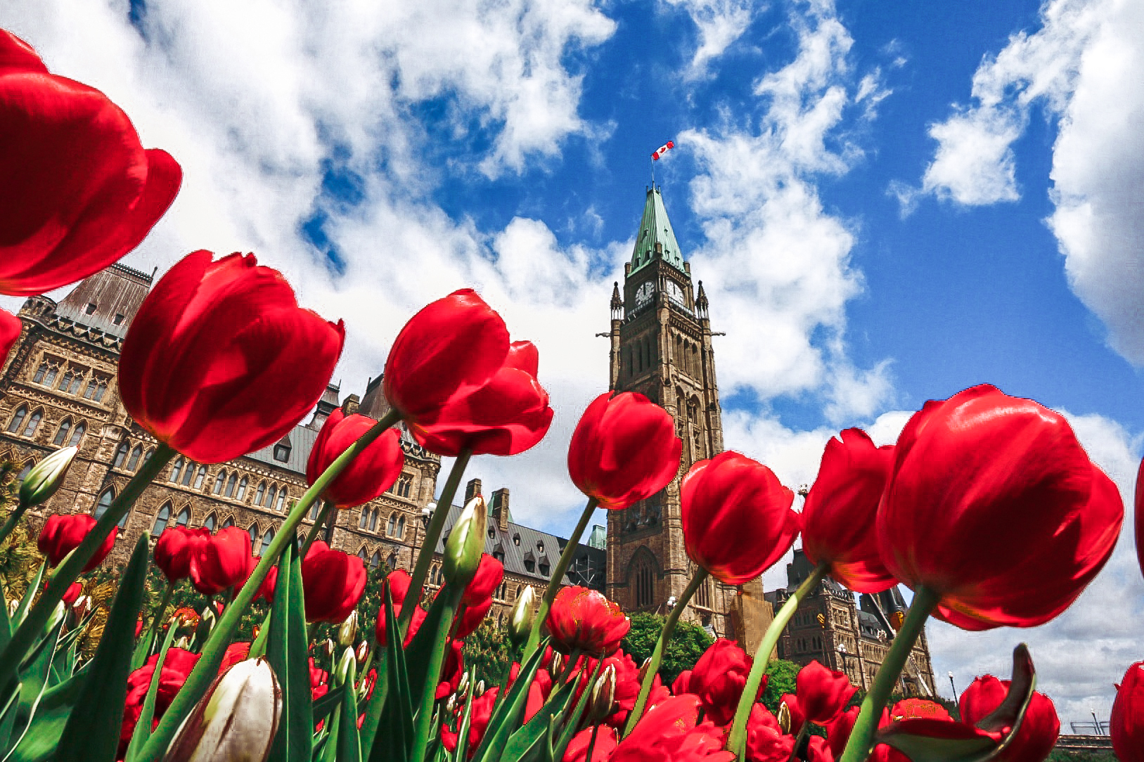 Tulips, Niagara Falls & Thousand Islands - May 10 - 20, 2027 (11 Days) 